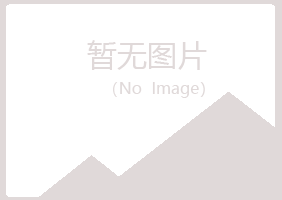 永安晓夏机械有限公司